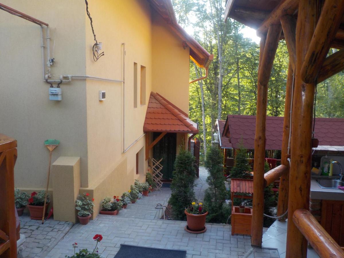 Casa Dora Hotell Sovata Eksteriør bilde
